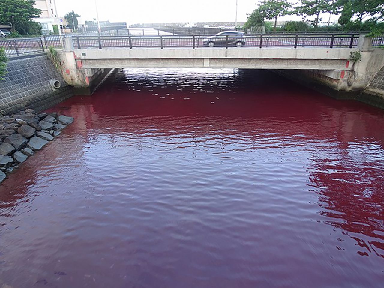 Το κοκκινωπό χρώμα που απέκτησε το θαλασσινό νερό ως αποτέλεσμα της διαρροής στις εγκαταστάσεις της ζυθοποιίας «Οrion» (Photo: CNN)
