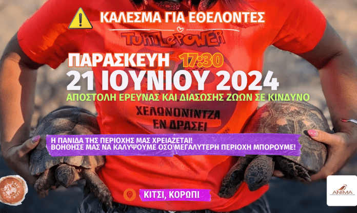 Κίτσι