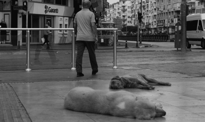 Τουρκία